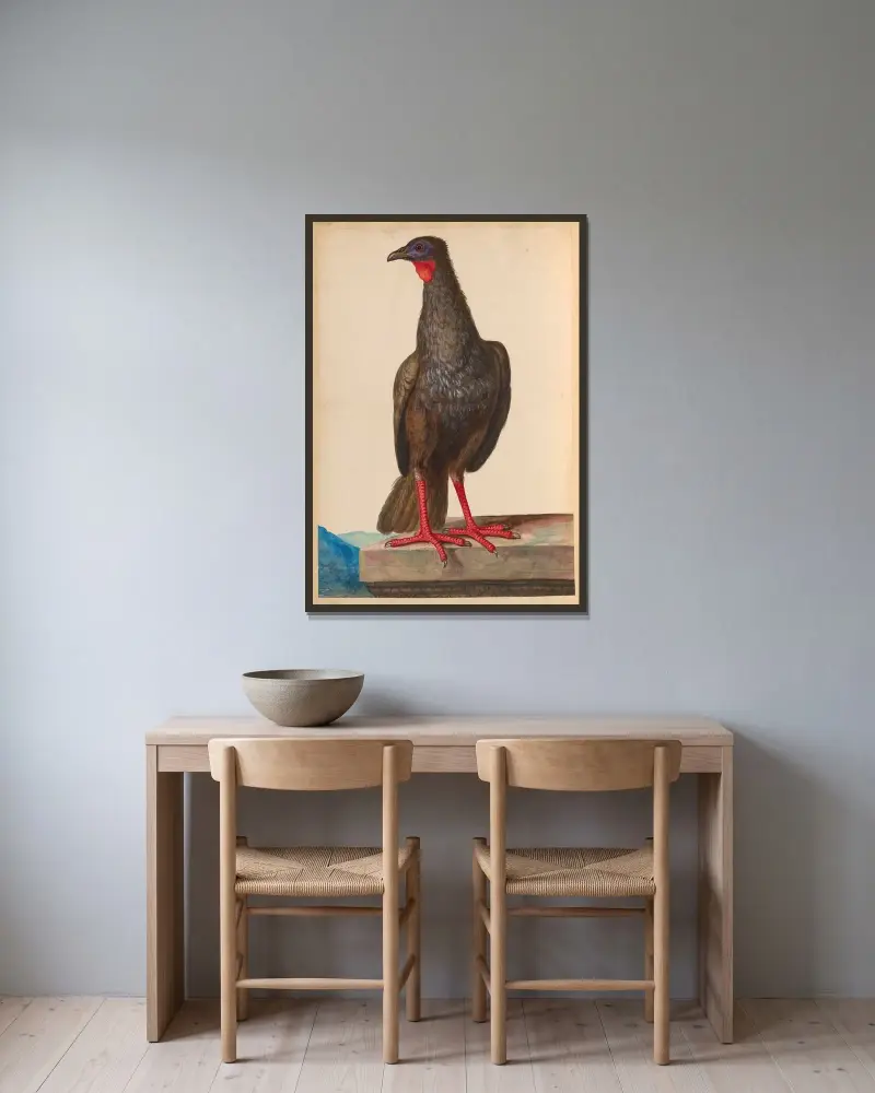 Vögel aus der königlichen Menagerie, Tafel 24 von Pieter Boel gerahmt an einer Wand