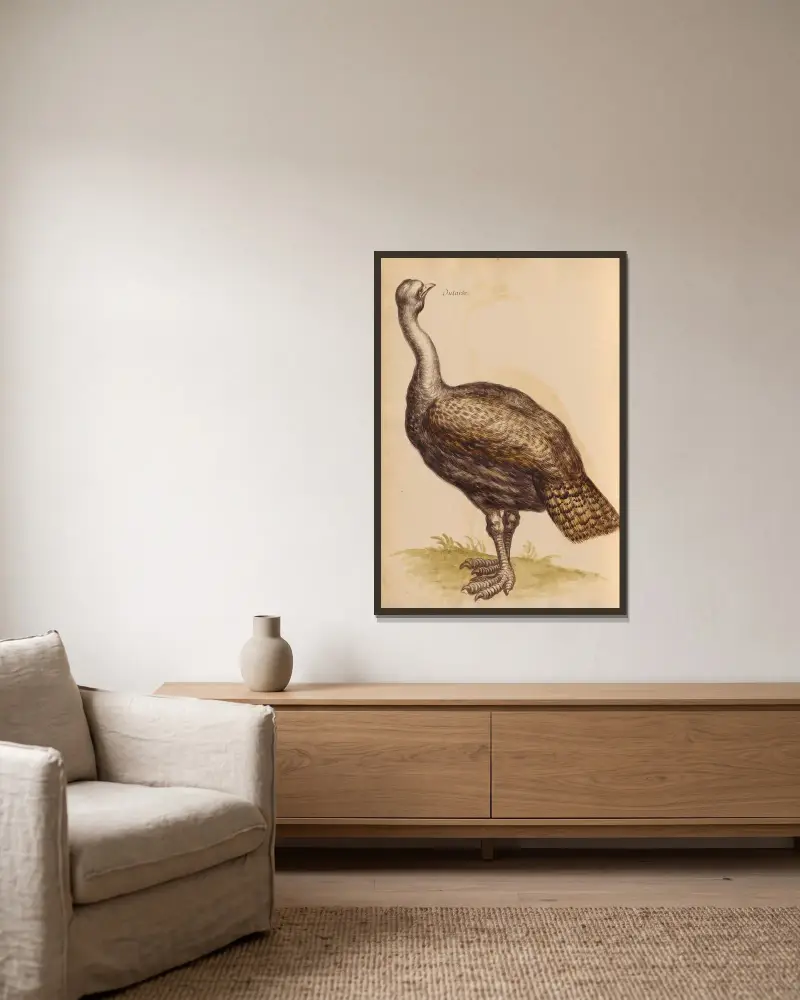 Vögel aus der Menagerie des Königs Taf. 25 von Pieter Boel gerahmt an einer Wand