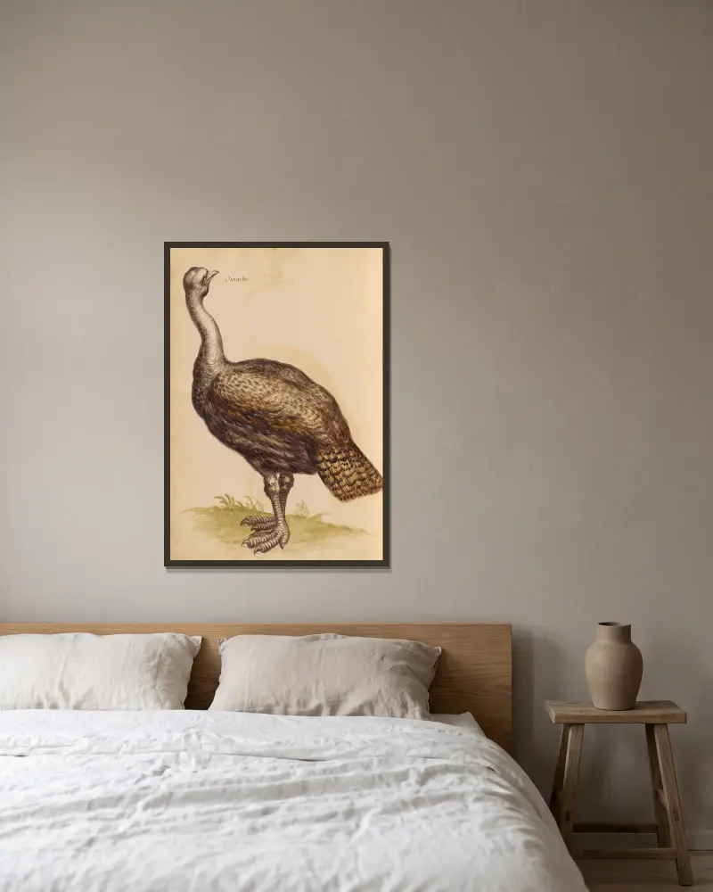 Vögel aus der Menagerie des Königs Taf. 25 von Pieter Boel gerahmt an einer Wand