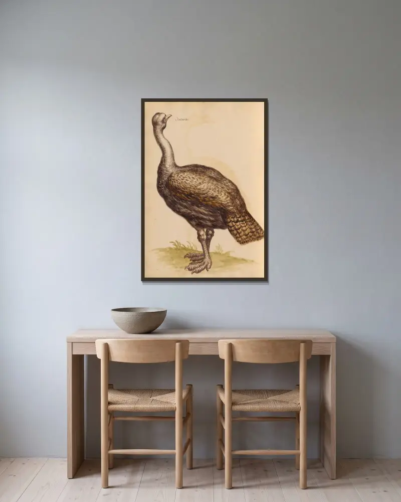 Vögel aus der Menagerie des Königs Taf. 25 von Pieter Boel gerahmt an einer Wand