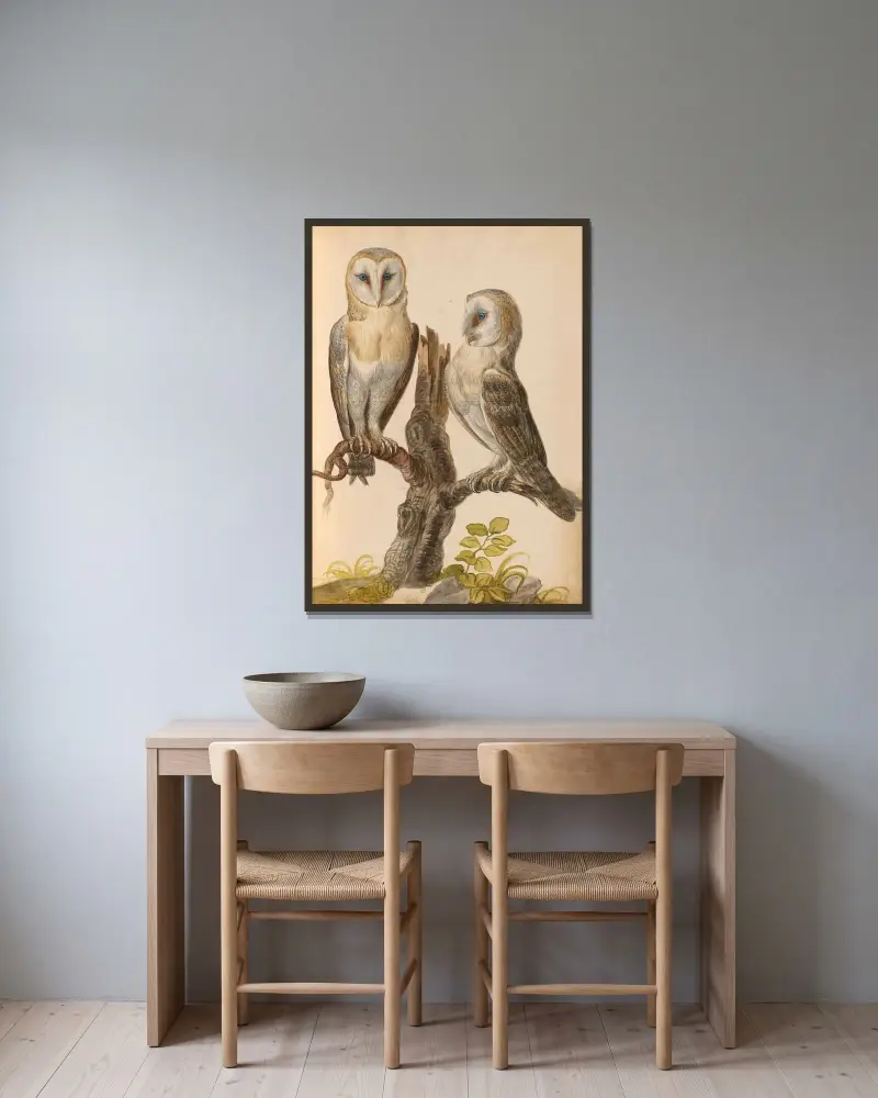 Vögel aus der königlichen Menagerie Taf. 27 von Pieter Boel gerahmt an einer Wand