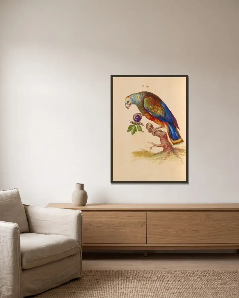 Vögel aus der königlichen Menagerie Pl. 28 von Pieter Boel gerahmt an einer Wand