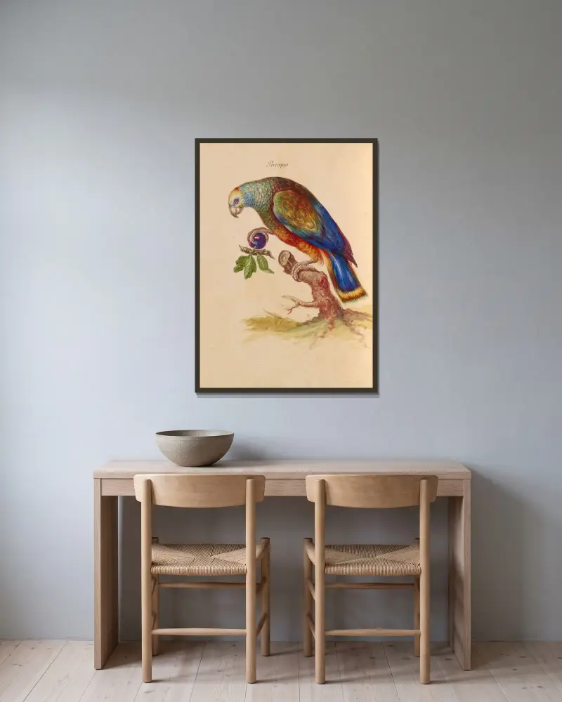 Vögel aus der königlichen Menagerie Pl. 28 von Pieter Boel gerahmt an einer Wand