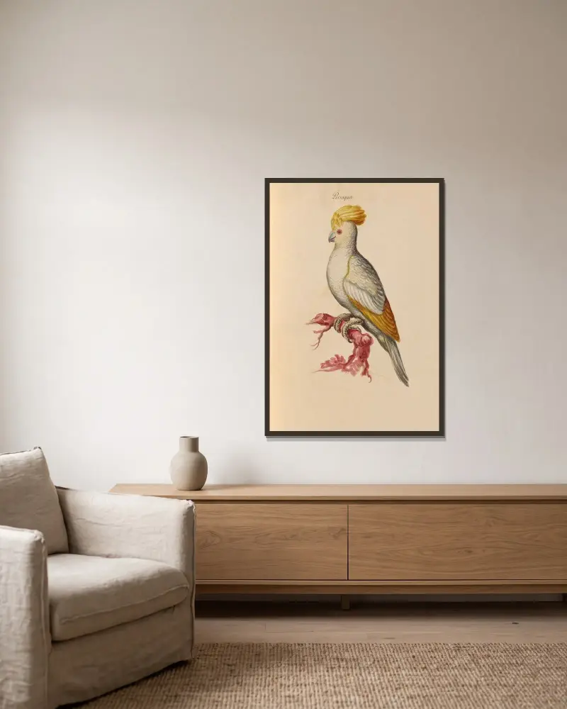 Vögel aus der Menagerie des Königs, Tafel 29 von Pieter Boel gerahmt an einer Wand