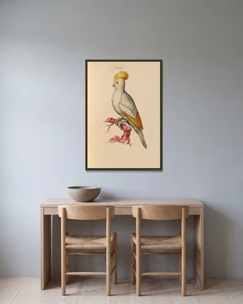 Vögel aus der Menagerie des Königs, Tafel 29 von Pieter Boel gerahmt an einer Wand