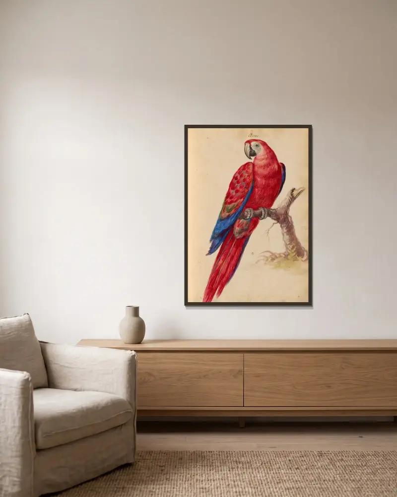 Vögel aus der Menagerie des Königs, Tafel 31 von Pieter Boel gerahmt an einer Wand