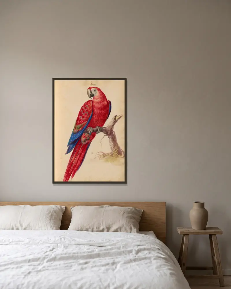 Vögel aus der Menagerie des Königs, Tafel 31 von Pieter Boel gerahmt an einer Wand