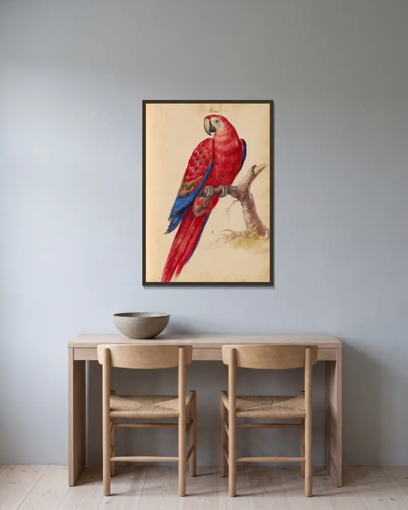 Vögel aus der Menagerie des Königs, Tafel 31 von Pieter Boel gerahmt an einer Wand