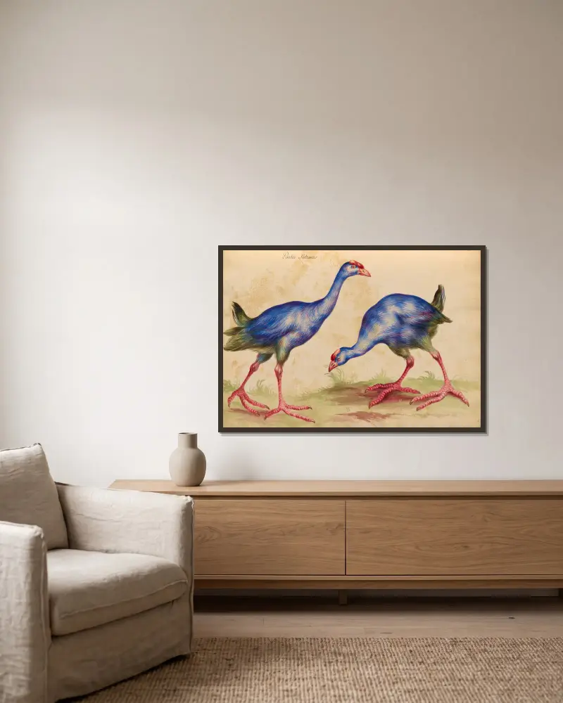 Vögel aus der königlichen Menagerie, Tafel 32 von Pieter Boel gerahmt an einer Wand