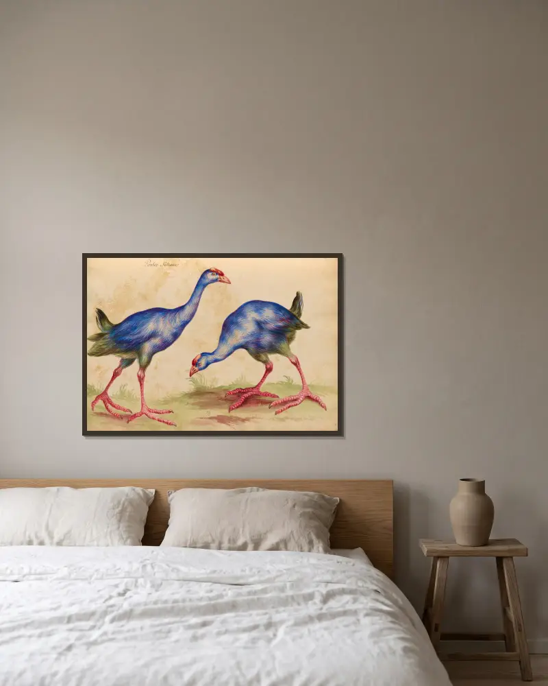 Vögel aus der königlichen Menagerie, Tafel 32 von Pieter Boel gerahmt an einer Wand
