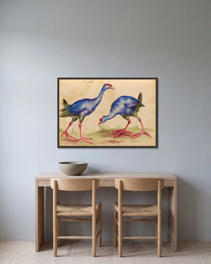 Vögel aus der königlichen Menagerie, Tafel 32 von Pieter Boel gerahmt an einer Wand