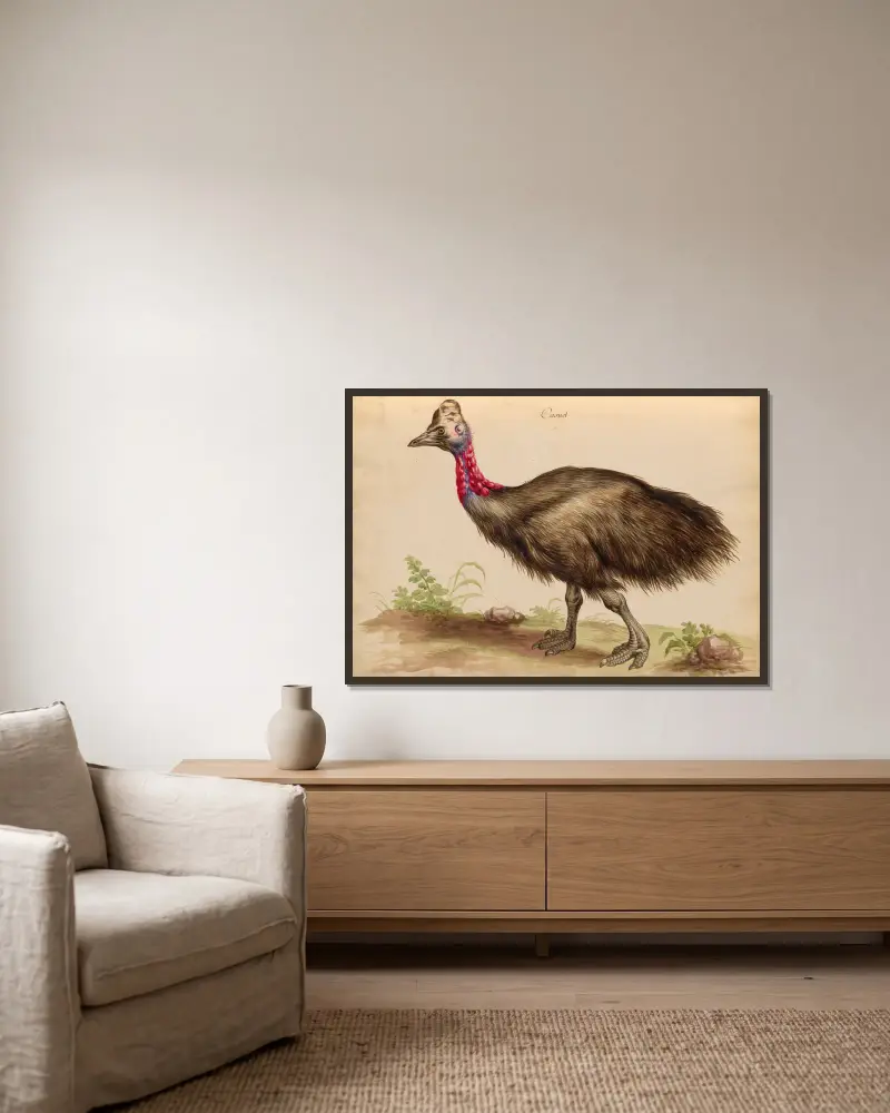 Oiseaux de la Ménagerie du Roi Pl.33 av Pieter Boel inramad på en vägg