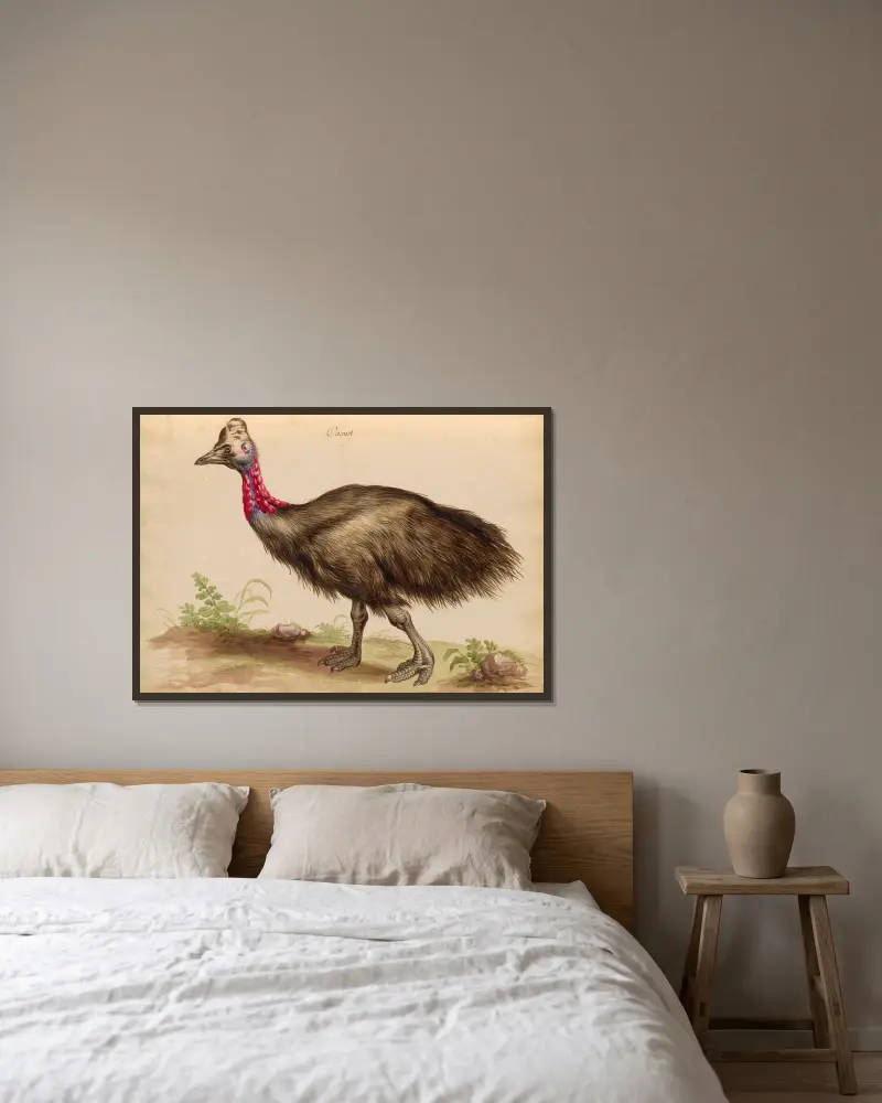 Oiseaux de la Ménagerie du Roi Pl.33 av Pieter Boel inramad på en vägg