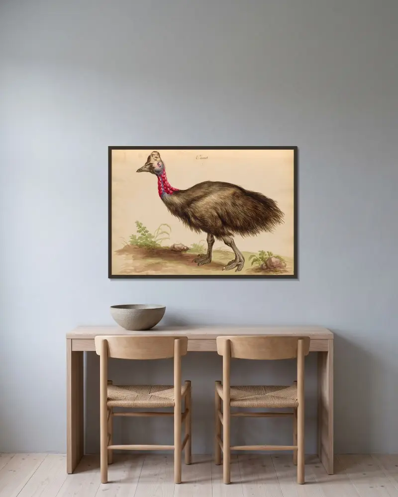 Oiseaux de la Ménagerie du Roi Pl.33 av Pieter Boel inramad på en vägg