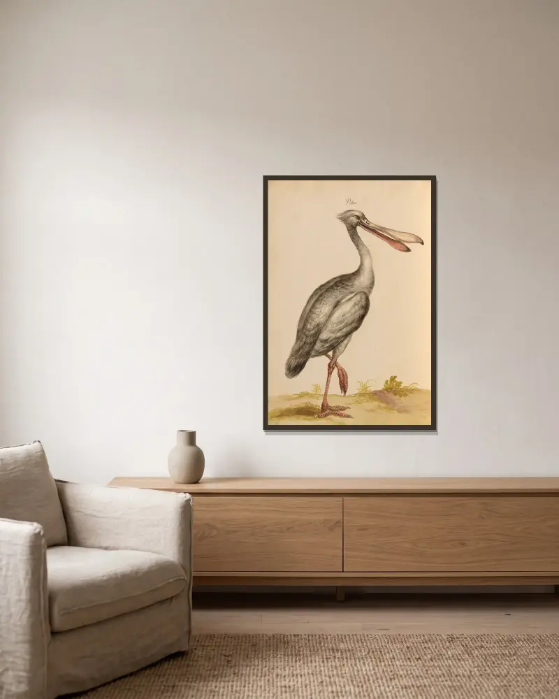Vögel aus der königlichen Menagerie, Taf. 34 von Pieter Boel gerahmt an einer Wand