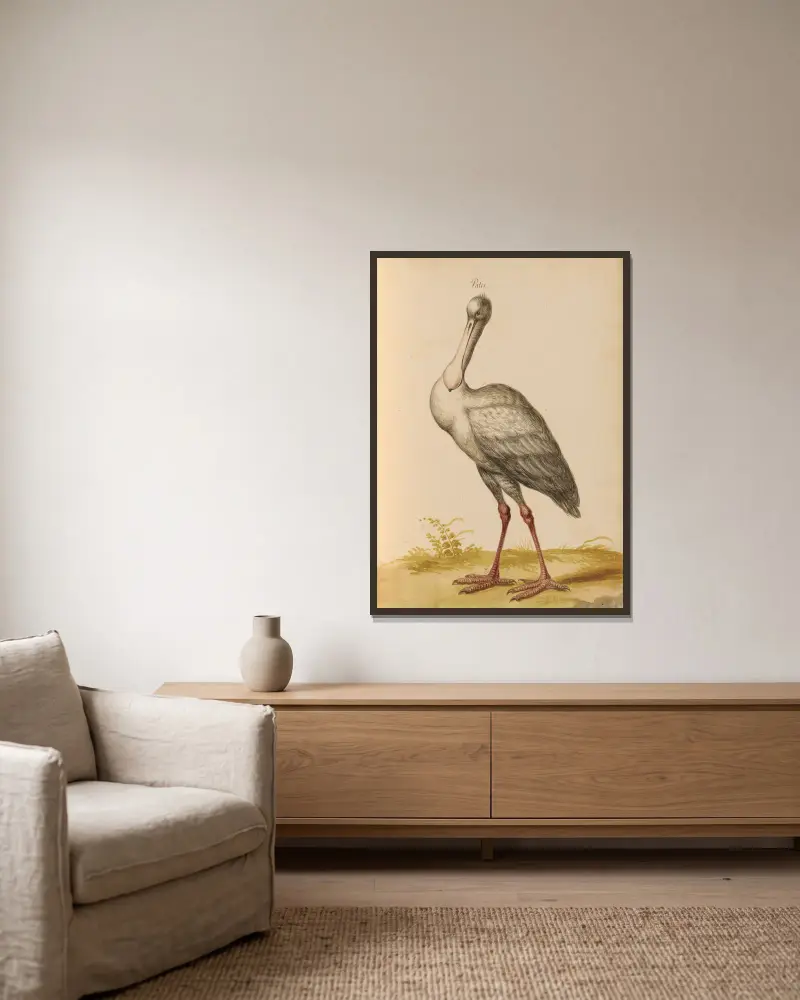 Oiseaux de la Ménagerie du Roi Pl.35 av Pieter Boel inramad på en vägg