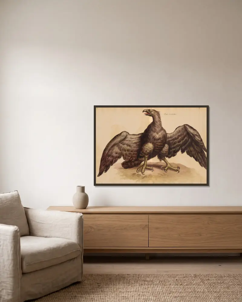 Oiseaux de la Ménagerie du Roi Pl.36 av Pieter Boel inramad på en vägg