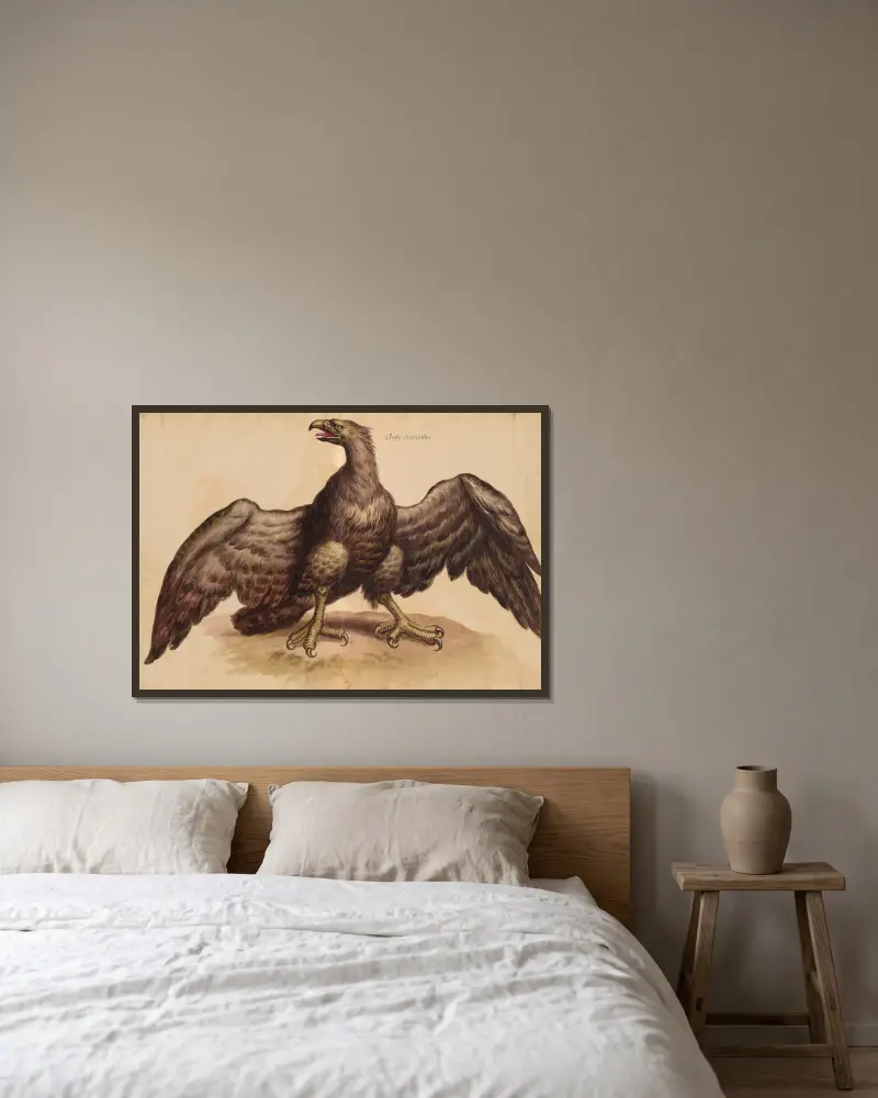 Oiseaux de la Ménagerie du Roi Pl.36 av Pieter Boel inramad på en vägg