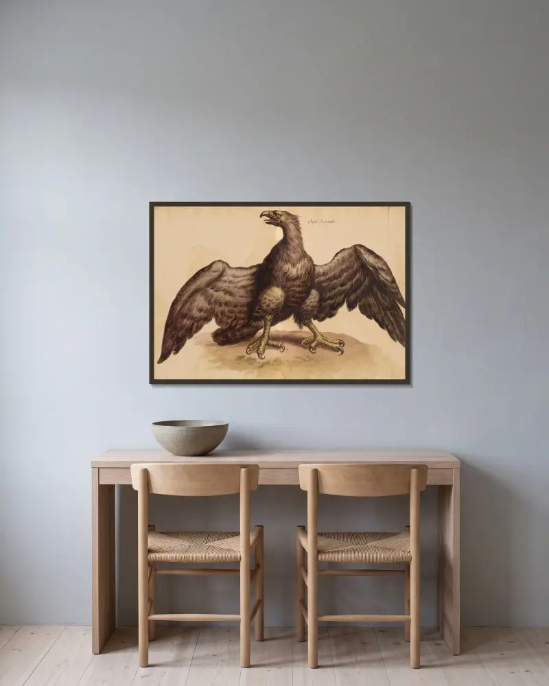 Oiseaux de la Ménagerie du Roi Pl.36 av Pieter Boel inramad på en vägg
