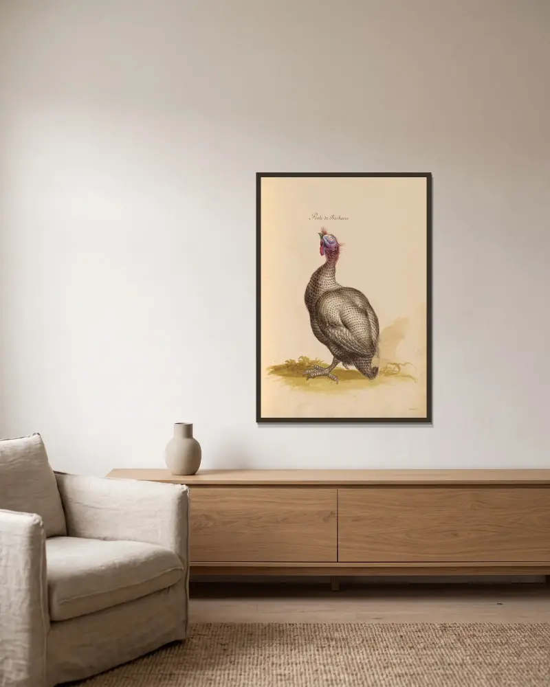 Vögel aus der Menagerie des Königs Taf. 38 von Pieter Boel gerahmt an einer Wand