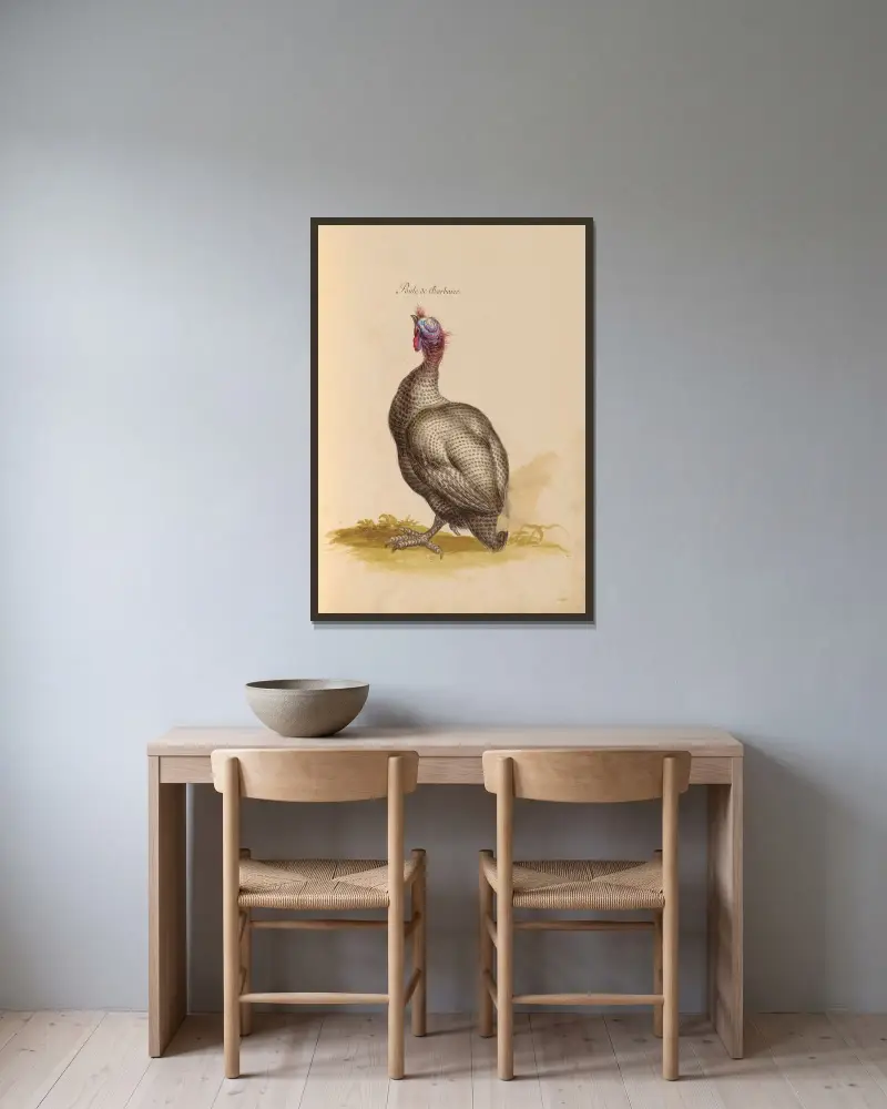 Vögel aus der Menagerie des Königs Taf. 38 von Pieter Boel gerahmt an einer Wand