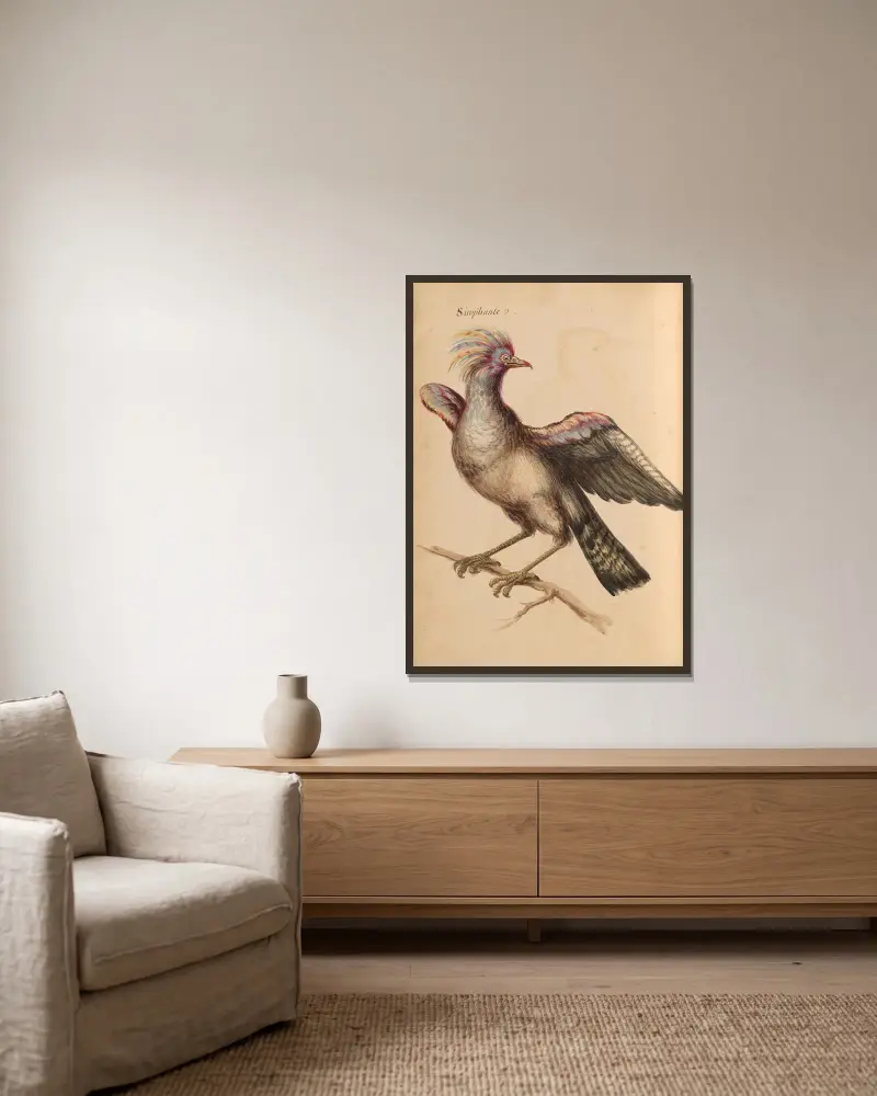 Oiseaux de la Ménagerie du Roi Pl.39 av Pieter Boel inramad på en vägg