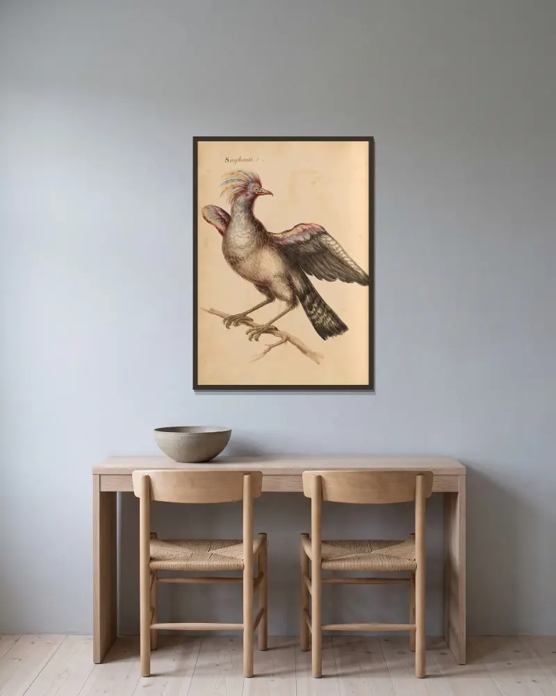 Oiseaux de la Ménagerie du Roi Pl.39 av Pieter Boel inramad på en vägg