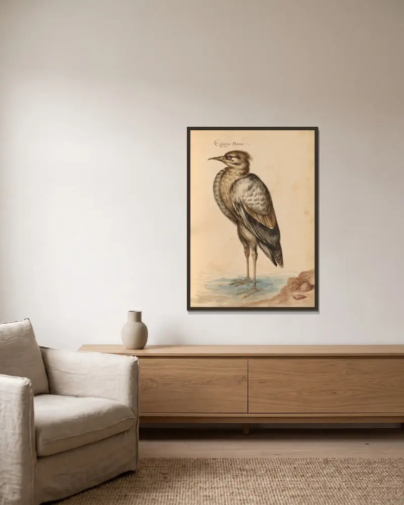 Oiseaux de la Ménagerie du Roi Pl.40 av Pieter Boel inramad på en vägg