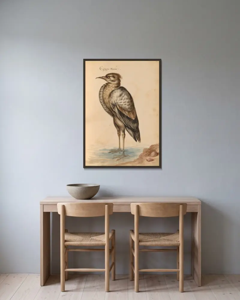 Oiseaux de la Ménagerie du Roi Pl.40 av Pieter Boel inramad på en vägg