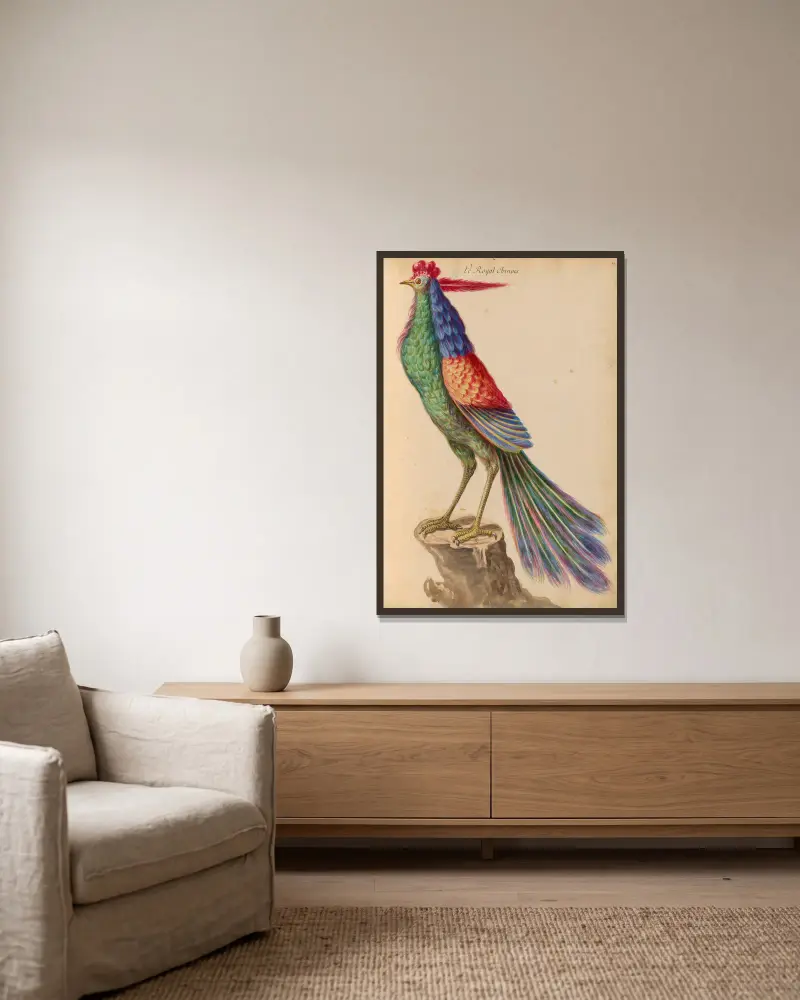 Oiseaux de la Ménagerie du Roi Pl.41 av Pieter Boel inramad på en vägg