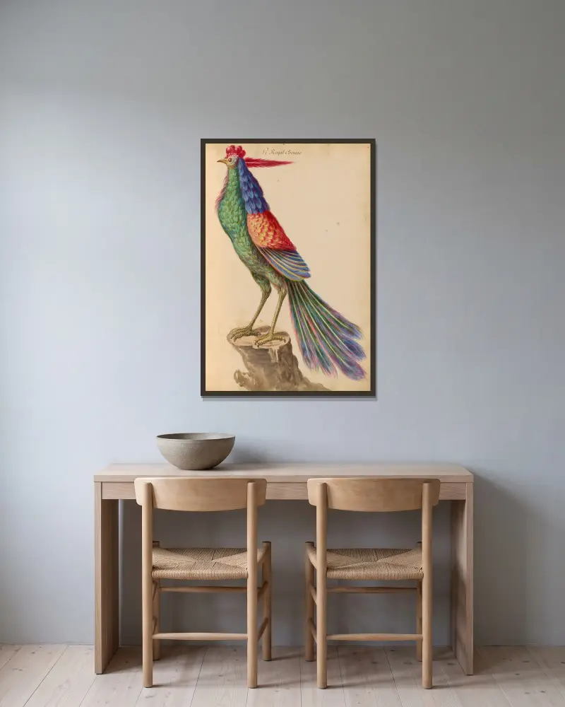 Oiseaux de la Ménagerie du Roi Pl.41 av Pieter Boel inramad på en vägg