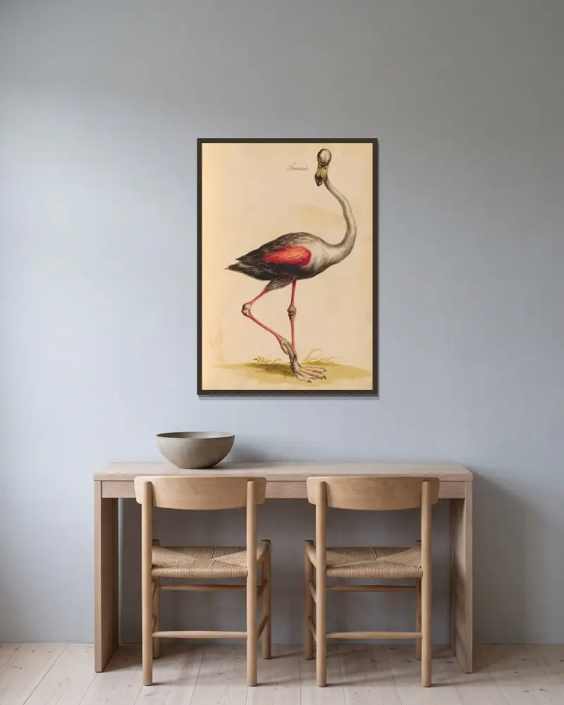 Vögel aus der königlichen Menagerie Taf. 44 von Pieter Boel gerahmt an einer Wand