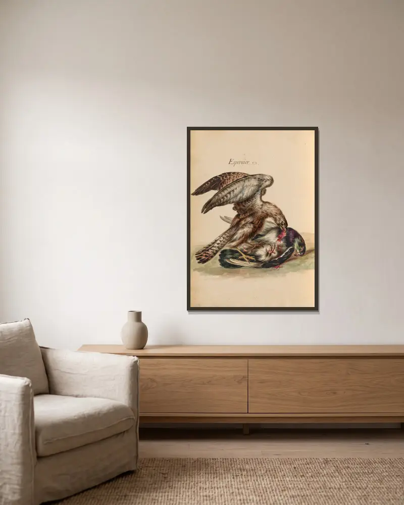 Oiseaux de la Ménagerie du Roi Pl.45 av Pieter Boel inramad på en vägg