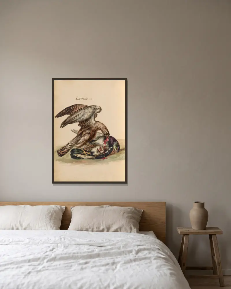 Oiseaux de la Ménagerie du Roi Pl.45 av Pieter Boel inramad på en vägg