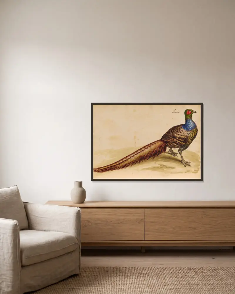 Oiseaux de la Ménagerie du Roi Pl.47 av Pieter Boel inramad på en vägg