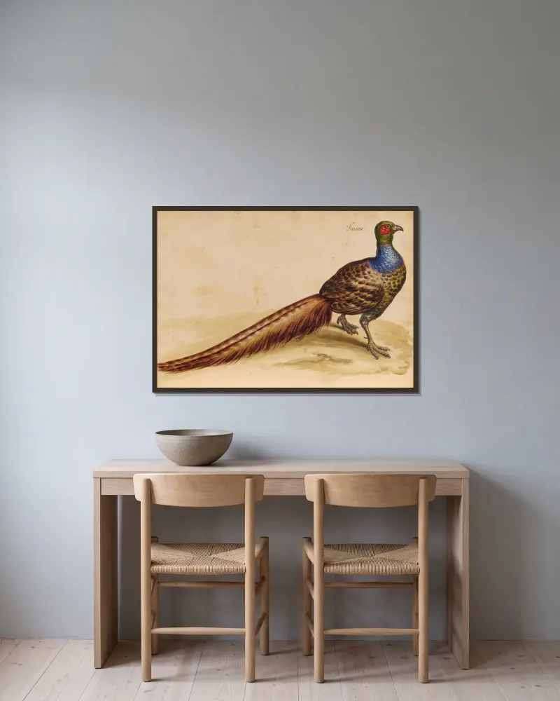 Oiseaux de la Ménagerie du Roi Pl.47 av Pieter Boel inramad på en vägg