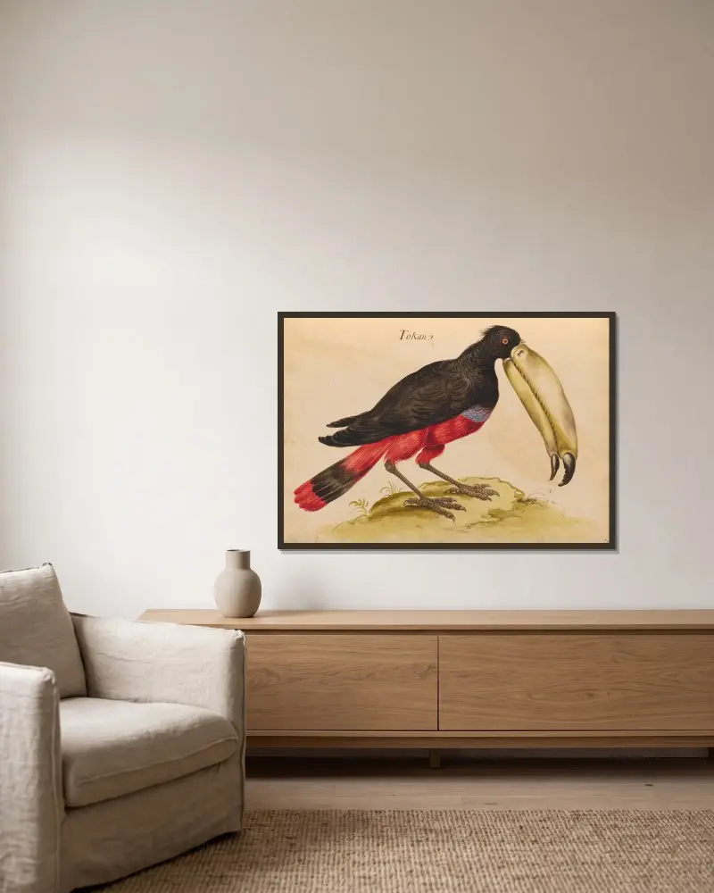 Vögel aus der königlichen Menagerie Taf. 48 von Pieter Boel gerahmt an einer Wand
