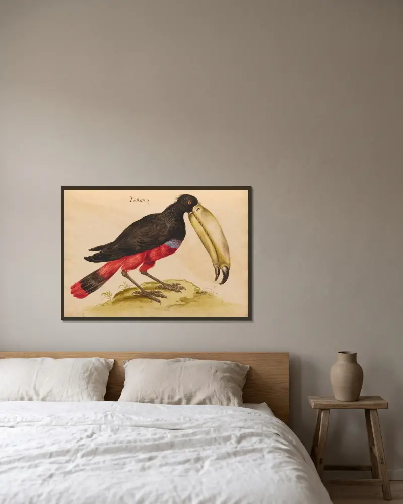Vögel aus der königlichen Menagerie Taf. 48 von Pieter Boel gerahmt an einer Wand