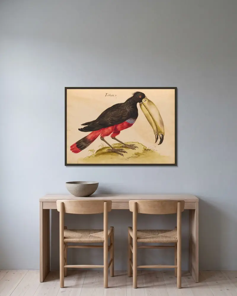 Vögel aus der königlichen Menagerie Taf. 48 von Pieter Boel gerahmt an einer Wand
