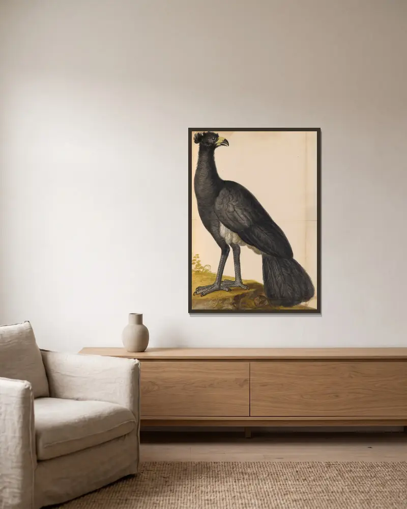 Oiseaux de la Ménagerie du Roi Pl.49 av Pieter Boel inramad på en vägg