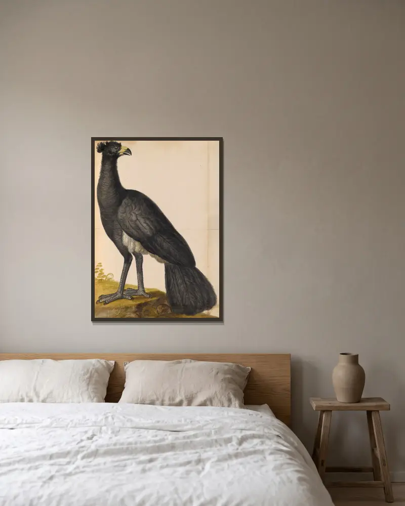 Oiseaux de la Ménagerie du Roi Pl.49 av Pieter Boel inramad på en vägg