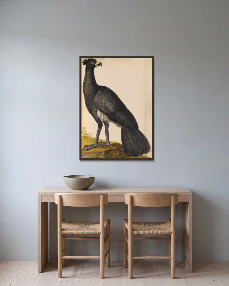 Oiseaux de la Ménagerie du Roi Pl.49 av Pieter Boel inramad på en vägg