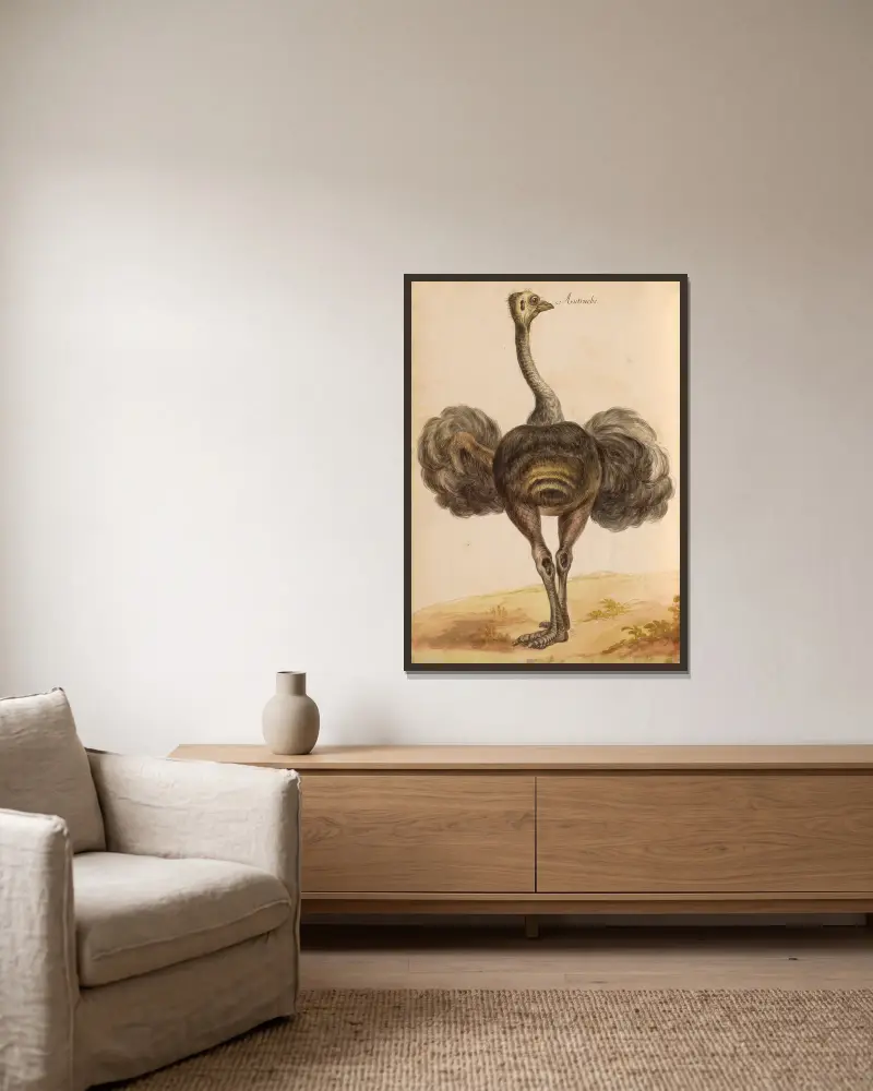 Oiseaux de la Ménagerie du Roi Pl.50 av Pieter Boel inramad på en vägg