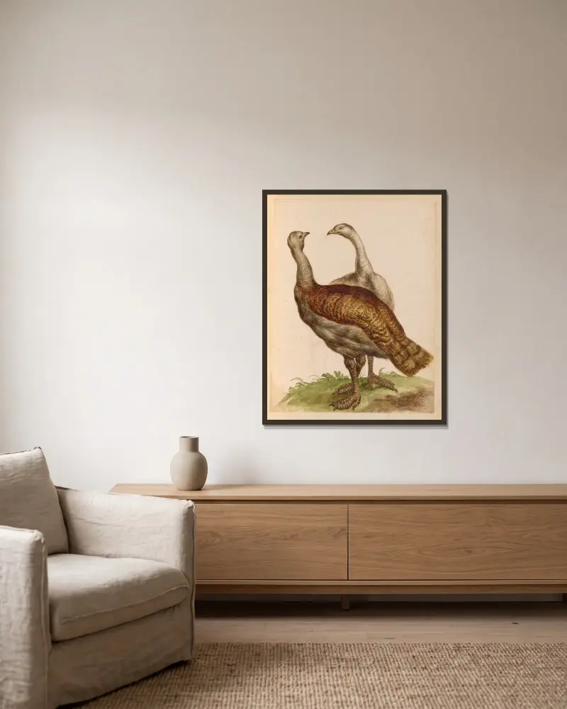 Vögel aus der königlichen Menagerie, Tafel 52 von Pieter Boel gerahmt an einer Wand
