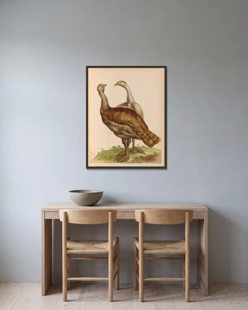 Vögel aus der königlichen Menagerie, Tafel 52 von Pieter Boel gerahmt an einer Wand