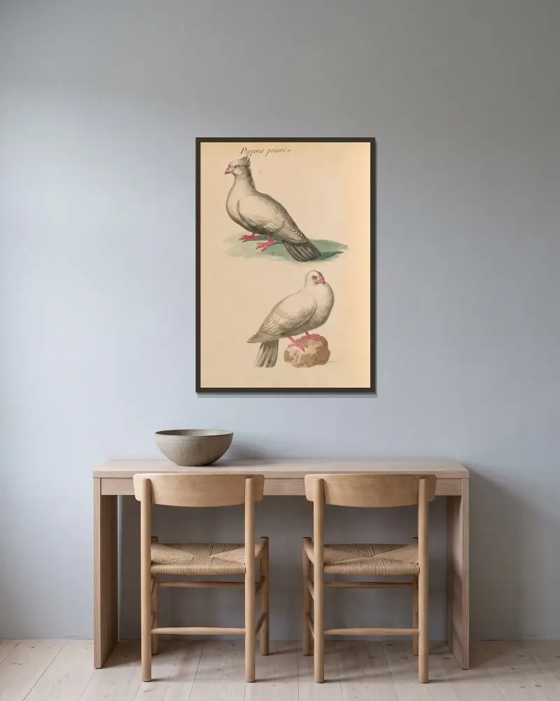 Vögel aus der Königlichen Menagerie, Taf. 53 von Pieter Boel gerahmt an einer Wand
