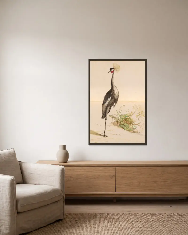 Oiseaux de la Ménagerie du Roi Pl.55 av Pieter Boel inramad på en vägg