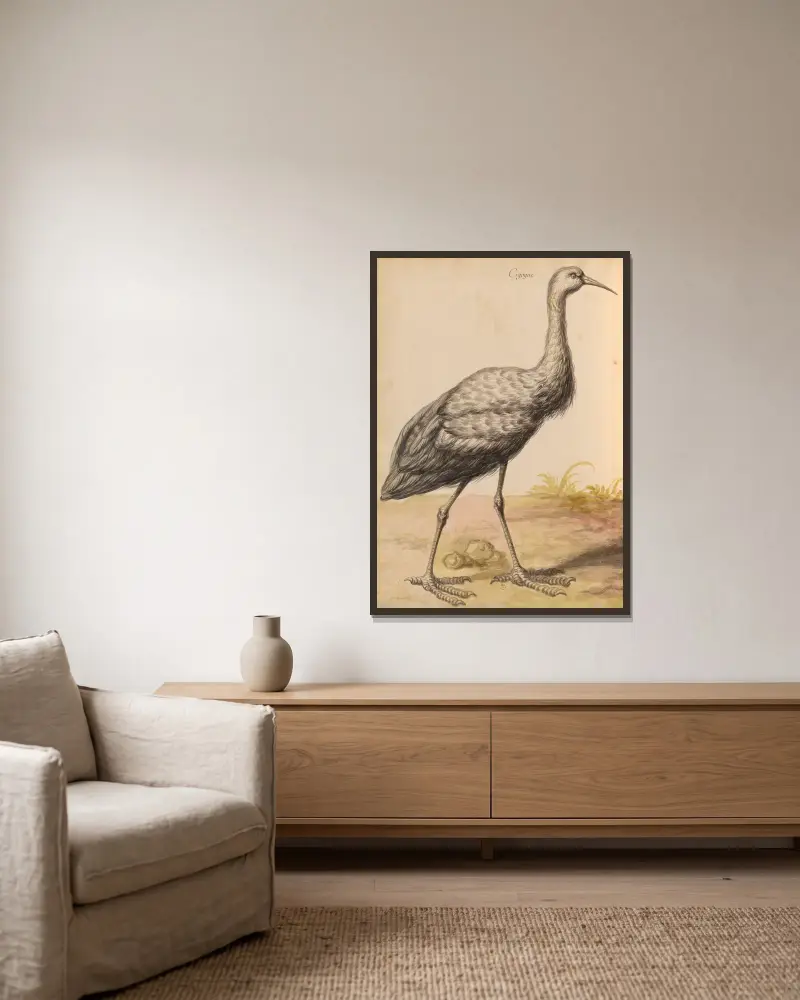 Oiseaux de la Ménagerie du Roi Pl.56 av Pieter Boel inramad på en vägg