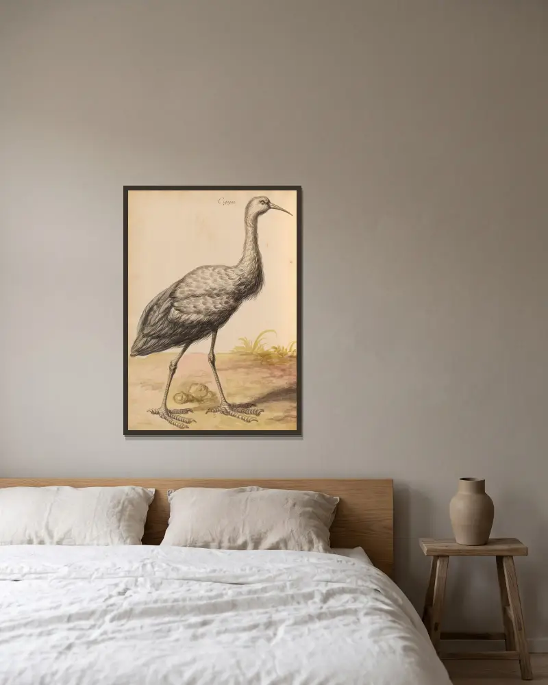Oiseaux de la Ménagerie du Roi Pl.56 av Pieter Boel inramad på en vägg