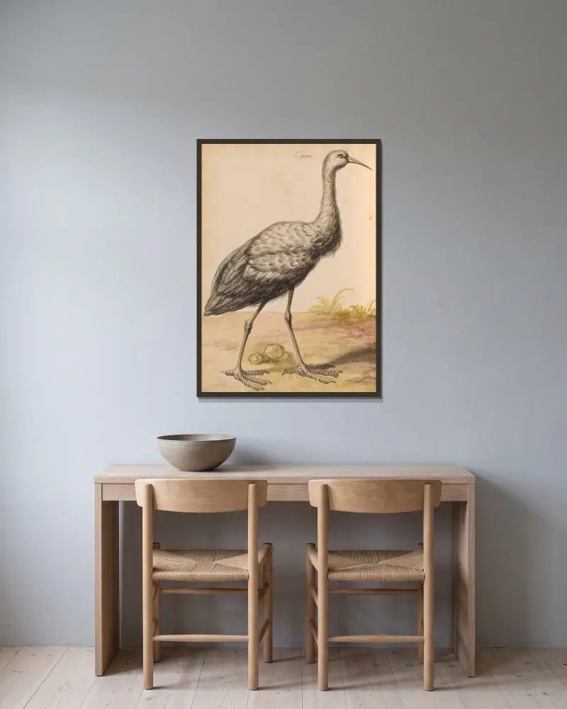 Oiseaux de la Ménagerie du Roi Pl.56 av Pieter Boel inramad på en vägg